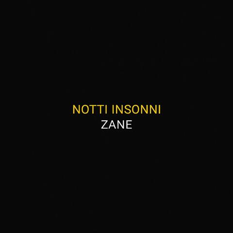 NOTTI INSONNI
