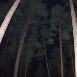 I Took a Look Outside the Door