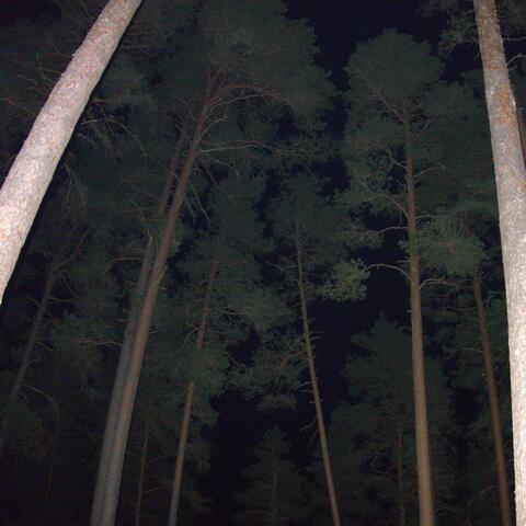 I Took a Look Outside the Door