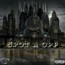 Spot a opp
