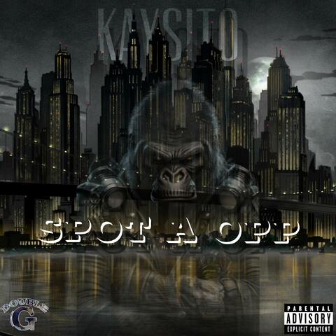 Spot a opp