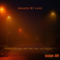 Awaken My Love