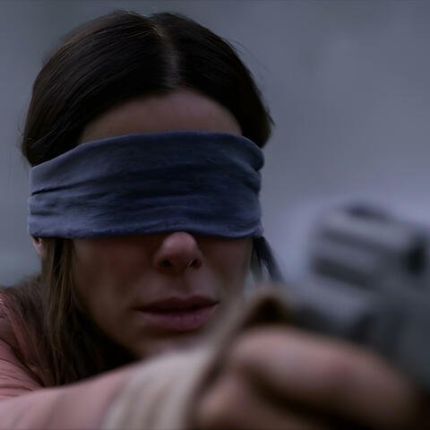 Birdbox/3k