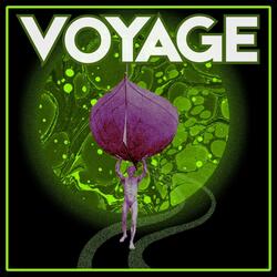 Voyage