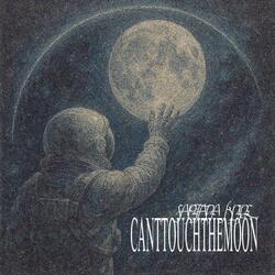 CANTTOUCHTHEMOON