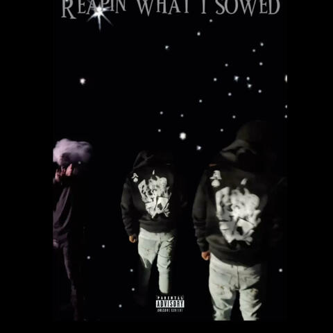Reapin what i Sowed
