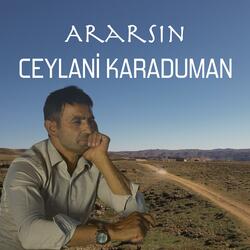 Ararsın