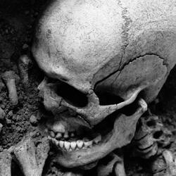 Mortal Remains