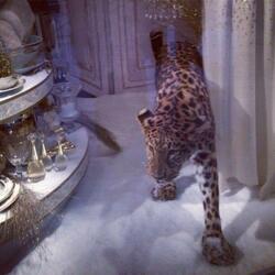 SSS (Triple S) (feat. sisucastle & sixhunnedk)