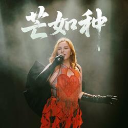芒如种 (那艺娜版)