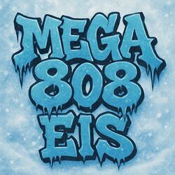 EIS