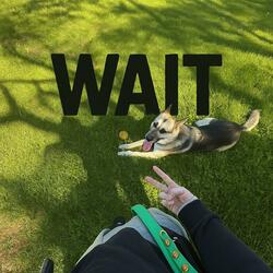 WAIT!