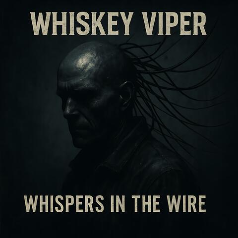 Whispers in the Wire
