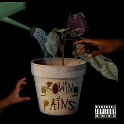 Rose From Concrete