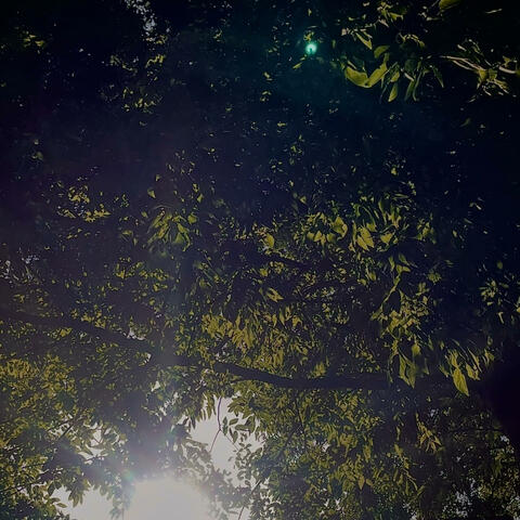 Nostalgia