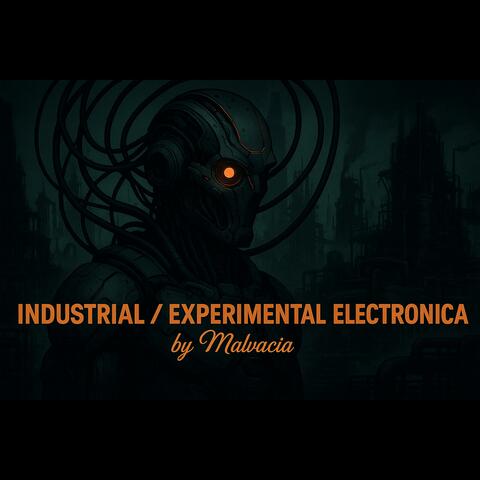 Industrial / Experimental Electronica