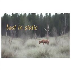 Lost In Static