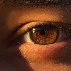 Sunrises and Goodbyes