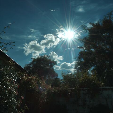 Sunshine