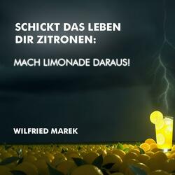 Schickt das Leben Dir Zitronen (mach Limonade daraus)
