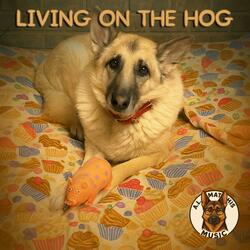 Living On The Hog