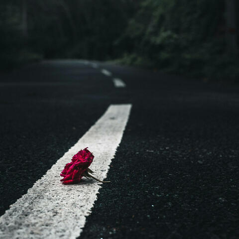 Hold On For Life