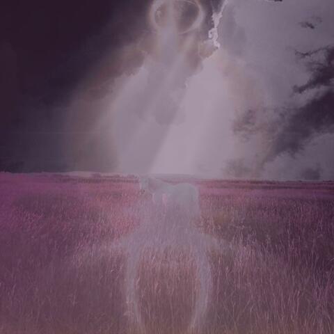 WRONGS