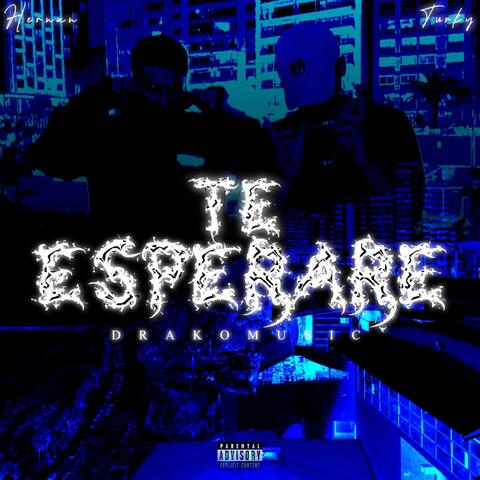 TE ESPERARÉ (feat. Hernan)