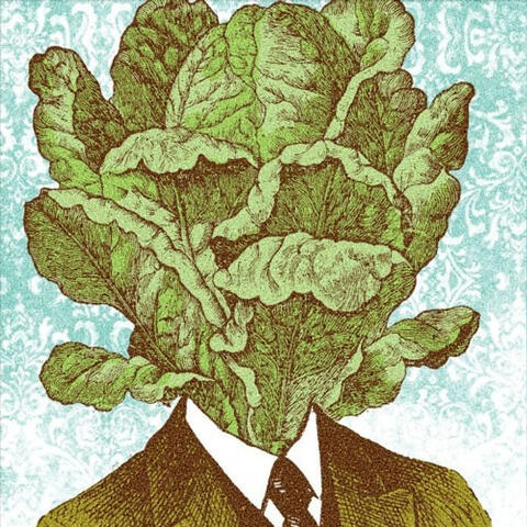 Lettuce Head