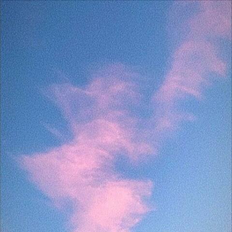 Pink Velour