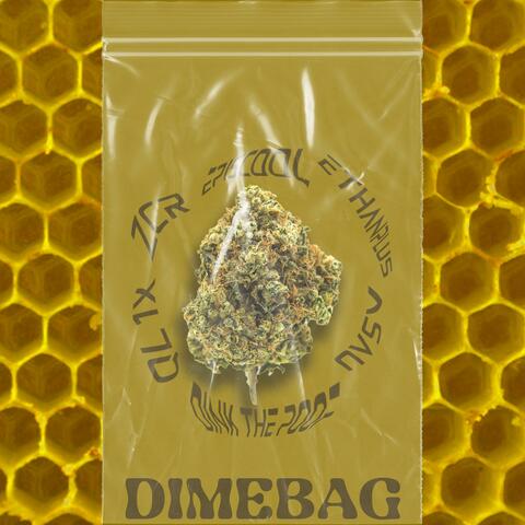 Dimebag (feat. asáu, Dink the Poof, Ethanplus, ql1x & ZCR)