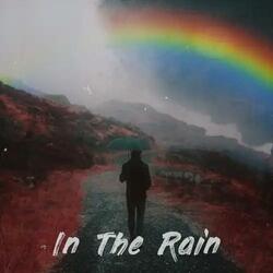Paper Cranes in the Rain