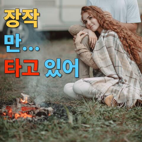 장작만 타고있어