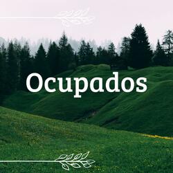 Ocupados