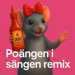 Poängen I Sängen! - remix (Radio Edit)