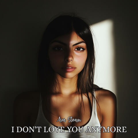 I DON'T LOVE YOU ANYMORE
