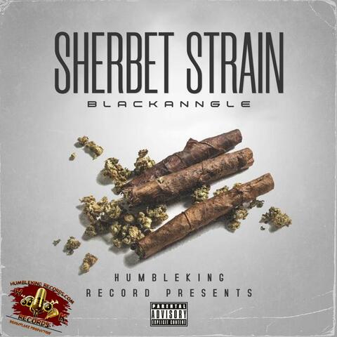 SHERBET-STRAIN
