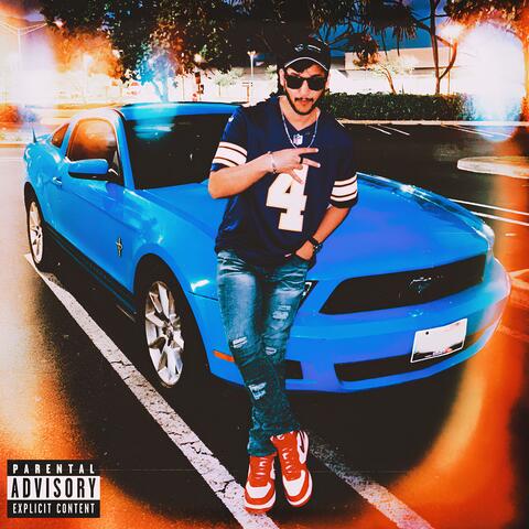 BLUE MUSTANG
