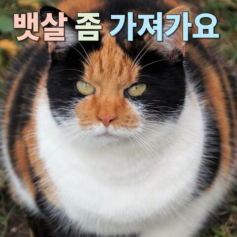 뱃살 좀 가져가요