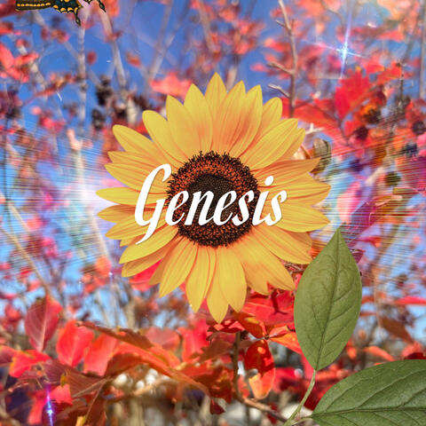 Genesis
