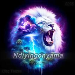 Ndiyigonyama (feat. Blaq twizza)