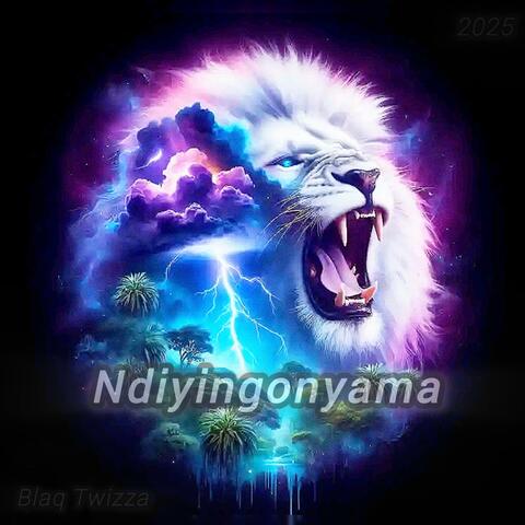 Ndiyigonyama (feat. Blaq twizza)