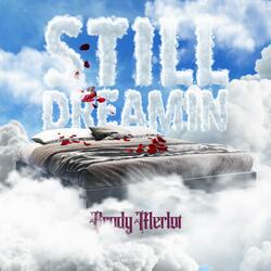 STILL DREAMIN