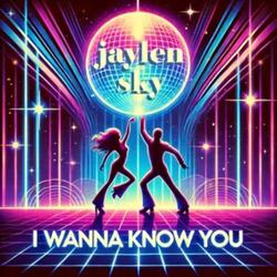 I Wanna Know You