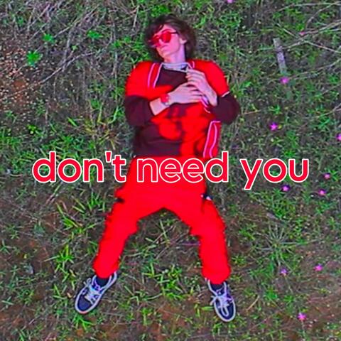 don't need you