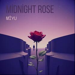 Midnight Rose