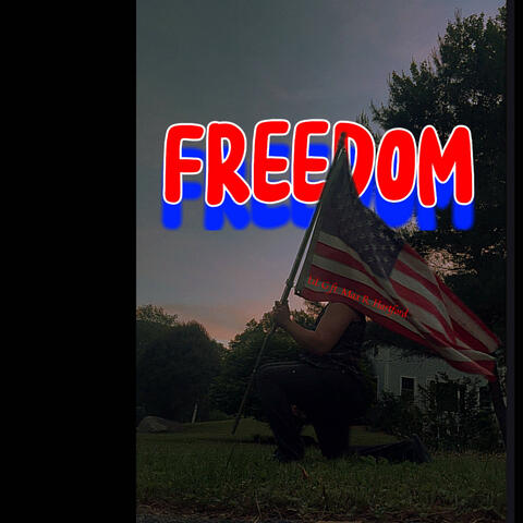 FREEDOM (feat. Max R.Hartford)