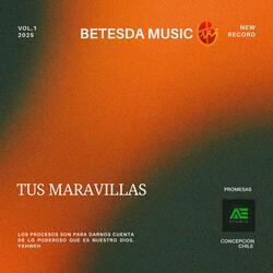 TUS MARAVILLAS (feat. Lilian Olate)