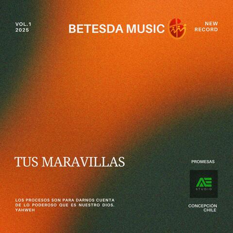 TUS MARAVILLAS (feat. Lilian Olate)