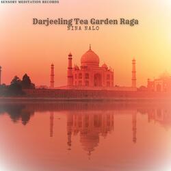 Darjeeling Tea Garden Raga (feat. Alma Lin, Sensory Meditation, Flame Timo, Jasper Whisper & Randy Divine)